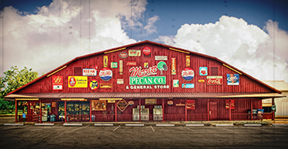 Merritt Pecan Street View